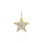 Rising Star 14K Yellow Gold and Gemstone Star Charm