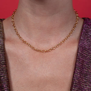 
            
                Load image into Gallery viewer, Nostalgic Holiday Gold Fill Round Link Chain Necklace
            
        